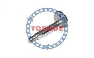 PAJERO/MONTERO (2000-2006) CP004 TORQUE