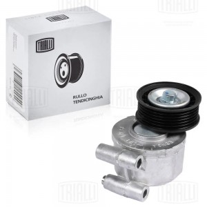 Ролик привод. ремня Ford Focus II (05-) 1.8i/2.0i (с натяж. мех.) (CMS 1006) CMS 1006 TRIALLI