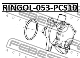 VOLVO S60 (2010>)/S80 (2006>) К-КТ 10 ШТ. RINGOL-053-PCS10 FEBEST