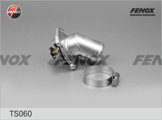 Термостат TS060 FENOX