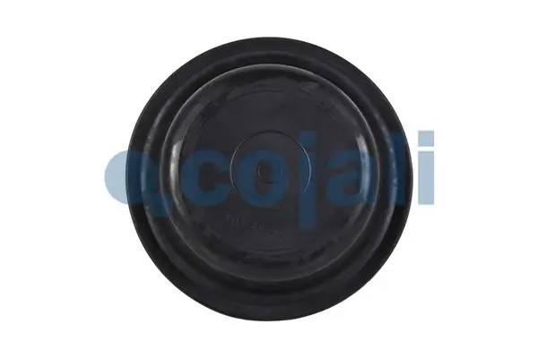 мембрана !глубокая 20 h=45 D=168 \MB, Scania, RVI, DAF 6001113 COJALI