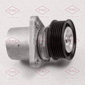 Натяжитель поликлин.ремня с роликом FORD Mondeo/Transit/Galaxy/S-MAX 06-VOLVO S8 TFD1006 TATSUMI