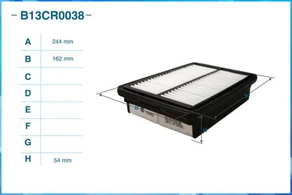 Фильтр воздушный B13CR0038 B13CR0038 CWORKS