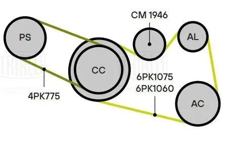Ролик привод. ремня Nissan Teana (03-) 2.3/3.5 (CM 1946) CM 1946 TRIALLI