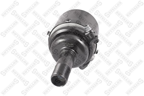 энергоаккумулятор! клинового тормоза T12/20\ DAF, IVECO 85-00550-SX STELLOX