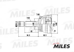 ШРУС наружный HYUNDAI GETZ 1.5 03- (с ABS) (SKF VKJA5751) GA20166 GA20166 MILES