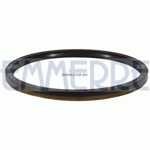 Сальник ступицы зад внутренний [180x200x12](min2)  2шт 101507 EMMERRE