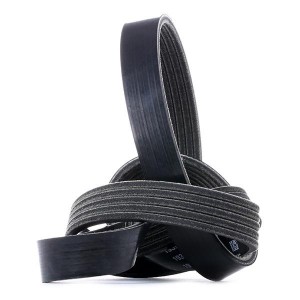 FORD MONDEO IV (2007>)/ S-MAX (2006>) 2.5 5PK1095S DAYCO