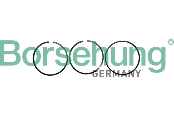 кольца поршневые (к-т на поршень)   B10362 B10362 BORSEHUNG