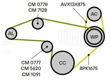 Ролик привод. ремня (с натяж. мех.) CM 0777 TRIALLI