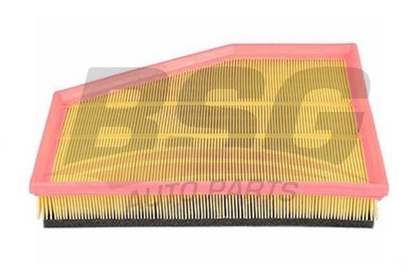 Фильтр воздушный BMW 5 (E60,E61),6 (E63,E64) BSG BSG15135014 BSG