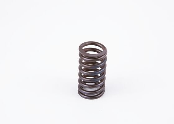 Пружина сжатия КАМАЗ EDC С-42 2414619010 BOSCH