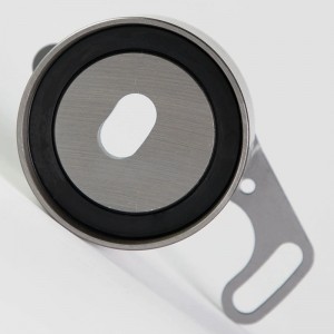 Ролик ремня ГРМ HONDA/ROVER (INA 531013120) AG02101 AG02101 MILES