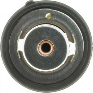 Термостат TH29888G1 GATES