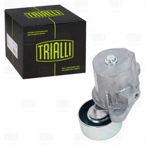 Ролик приводного ремня с натяжным механизмом CM 5977 TRIALLI