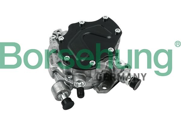 насос вакуумный!\ VW Touareg/Transporter V/Multivan V 2.5TDi 03> B18771 BORSEHUNG