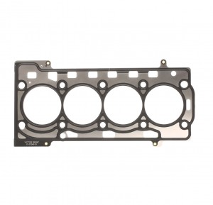 TIGUAN (2007-2011) 613704510 VICTOR REINZ