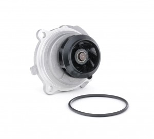 AUDI A3 [8L1]/ A4 [B5]/ VW PASSAT [B5] 538 0088 10 INA