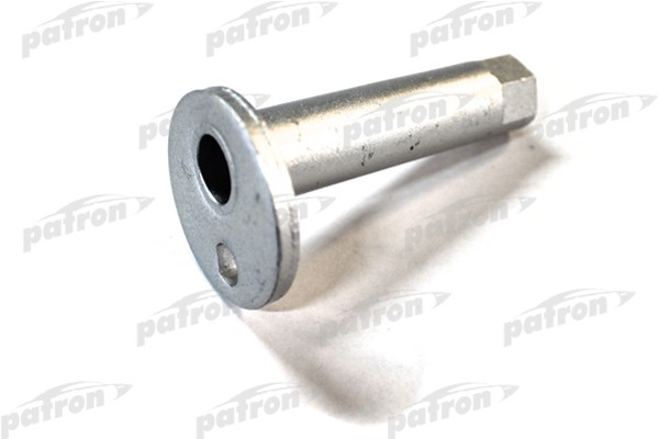 Болт TOYOTA Rav 4 (00-05) регулировочный рычага заднего PATRON PBLT012 PATRON