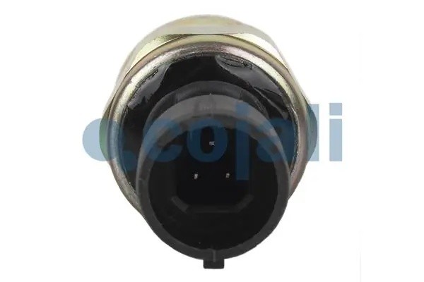 Датчик давления масла RVI Premium/Magnum/Midlum/Kerax 2260261 COJALI