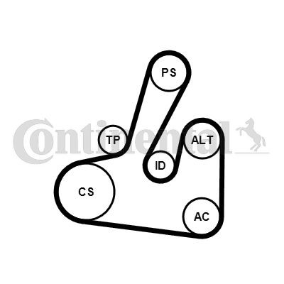 ремень ГРМ! 168x254H\ Mazda 626 2.0 16V 87-92, Kia Sportage 2.0 16V 94> CT-790 CONTITECH