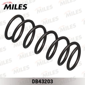 Пружина задней подвески FORD MONDEO 3/07- (KYB RA5990) DB43203 DB43203 MILES