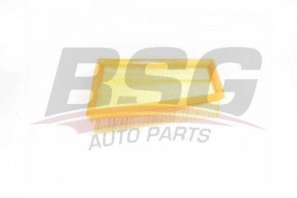 Фильтр воздушный RENAULT Kangoo (09-) (1.5 DCI) BSG BSG75135001 BSG