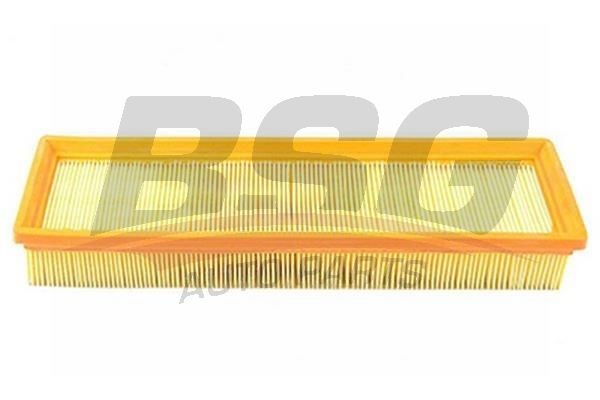 Фильтр воздушный PEUGEOT 206,307 CITROEN C4 BSG BSG70135004 BSG