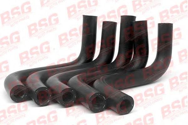 Шланг FORD Transit (M12,M15) (93-) (2.5D) насоса вакуумного BSG BSG30720022 BSG