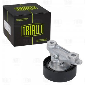 SKODA RAPID (2013>) CM 5561N TRIALLI