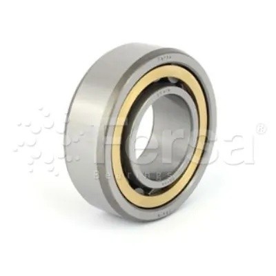Подшипник редуктора 45*100*36 Scania/Volvo EV90 F19080 FERSA