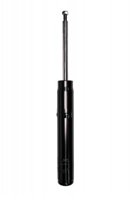 Амортизатор передний, GAS F21GR0062 F21GR0062 CWORKS