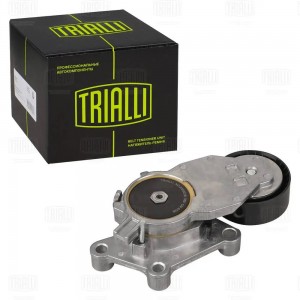 Ролик привод. ремня Ford Focus II (05-) 1.5d/1.6d (c 2008) (с натяж. мех.) (CM 5 CM5729 TRIALLI