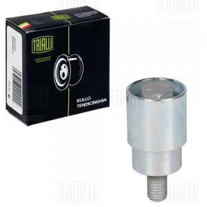 Ролик ГРМ опор. Chery Tiggo T11 (06-) 1.6i/1.8i (CM3013) CM3013 TRIALLI