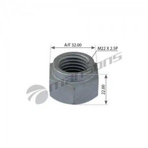 Гайка стремянки M22x2.5P H22  10шт 300.602 MANSONS