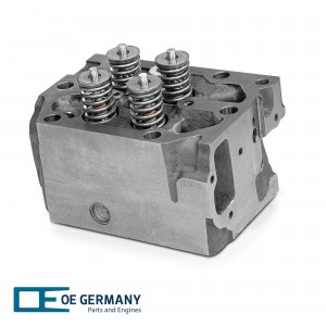 Головка блока цилиндров [R6 D128 c клапанами] 020129287601 OE GERMANY