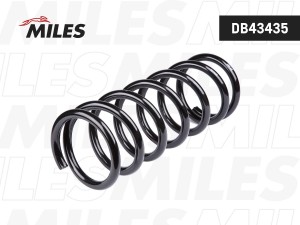 Пружина подвески задняя NISSAN PATHFINDER (R51) (KYB RA6136) DB43435 DB43435 MILES