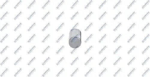 ролик вилки сцепления! Scania K0602744 KACMAZLAR