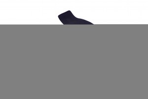 AUDI A6 [C6,4F] (2004-2011) ВОРС 82426 SEINTEX