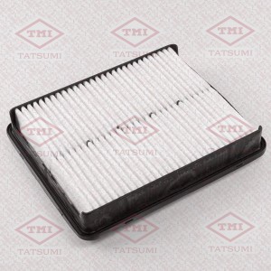 HYUNDAI SONATA VI (2010>)/ KIA OPTIMA III (2010>) TBC1189 TATSUMI