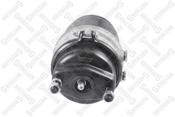энергоаккумулятор !задний левый T20/24 толкат.L=20мм\MAN 85-00551-SX STELLOX