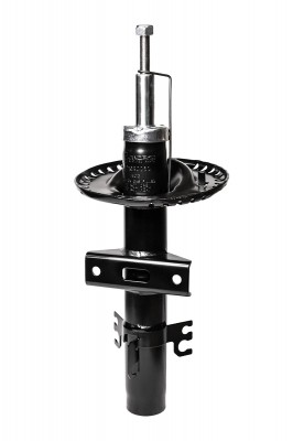 Амортизатор передний, GAS F21GR0060 F21GR0060 CWORKS