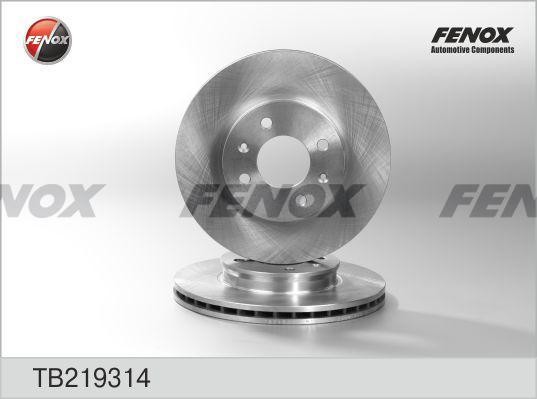 Диск тормозной Hyundai Accent III(MC) 05-, i20 08-, Kia Rio II 05-  2шт TB219314 FENOX