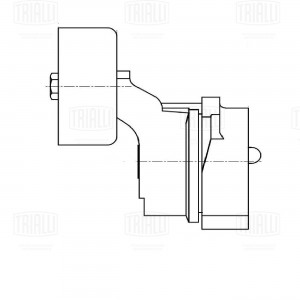 Ролик привод. ремня Kia Sorento (02-)/Hyundai H-1 (07-) 2.5d (с натяж. мех.) (CM CM 5050 TRIALLI