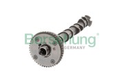 Вал распределительный B11319 B11319 BORSEHUNG