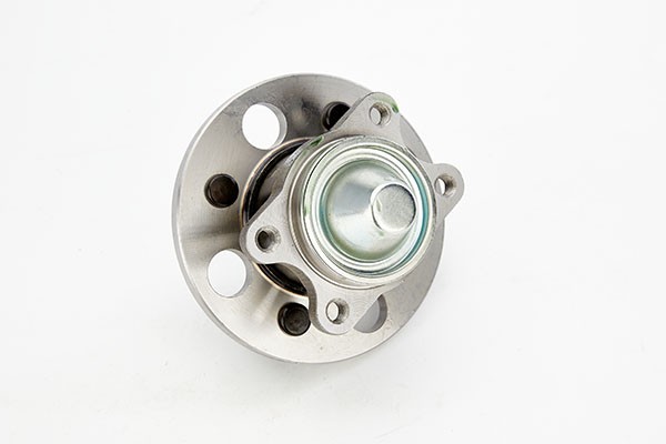 CТУПИЦА КОЛЕСА С ПОДШИПНИКОМ ЗАДНЯЯ HYUNDAI ACCENT III, HYUNDAI GETZ, 1060200036 DODA