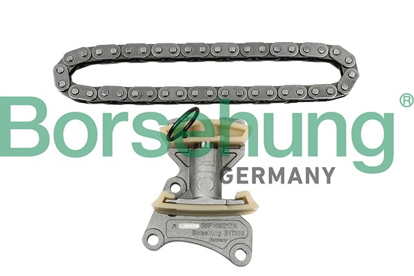 рем.к-кт цепи ГРМ!\ Audi A3/A4/A6, VW Golf/Passat/Touran 2.0TFSi 02> B18847 BORSEHUNG