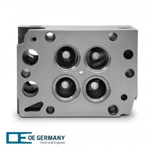 ГБЦ R6 D2876 (без клапанов) MAN TGA 020120287600 OE GERMANY