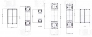 Ремкомплект КПП (5 ступ.) ГАЗ (до 2003 г.) (шарик. подшип., только подшип.) (CT  CT756 TRIALLI