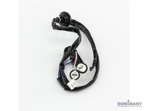 NISSAN X-TRAIL (T31) (2007>) задней двери NS250380JG00A DOMINANT